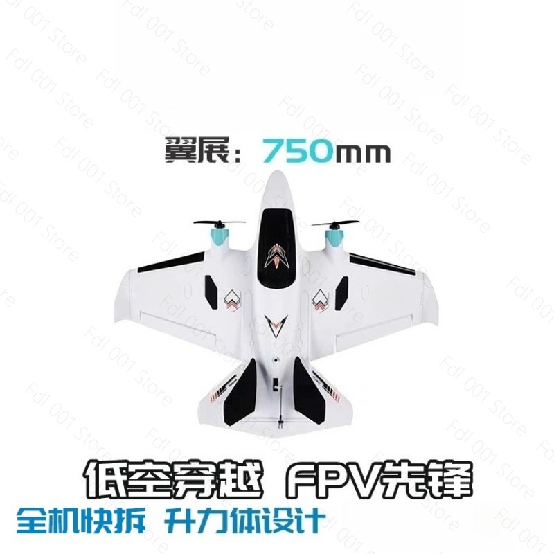 Dual Motor FPV Fixed Wing RC A - Drone Rc Airplane ulasan dan harga